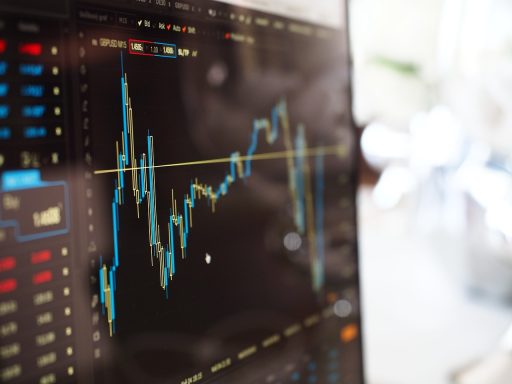 Business and Management: Programs in international business, finance, marketing, and entrepreneurship.